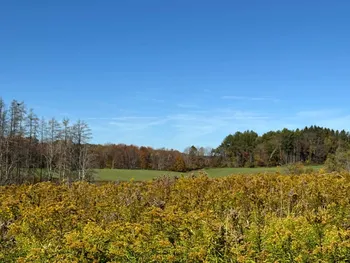 Property at 1.2 County Road 29, New Berlin, NY 13411