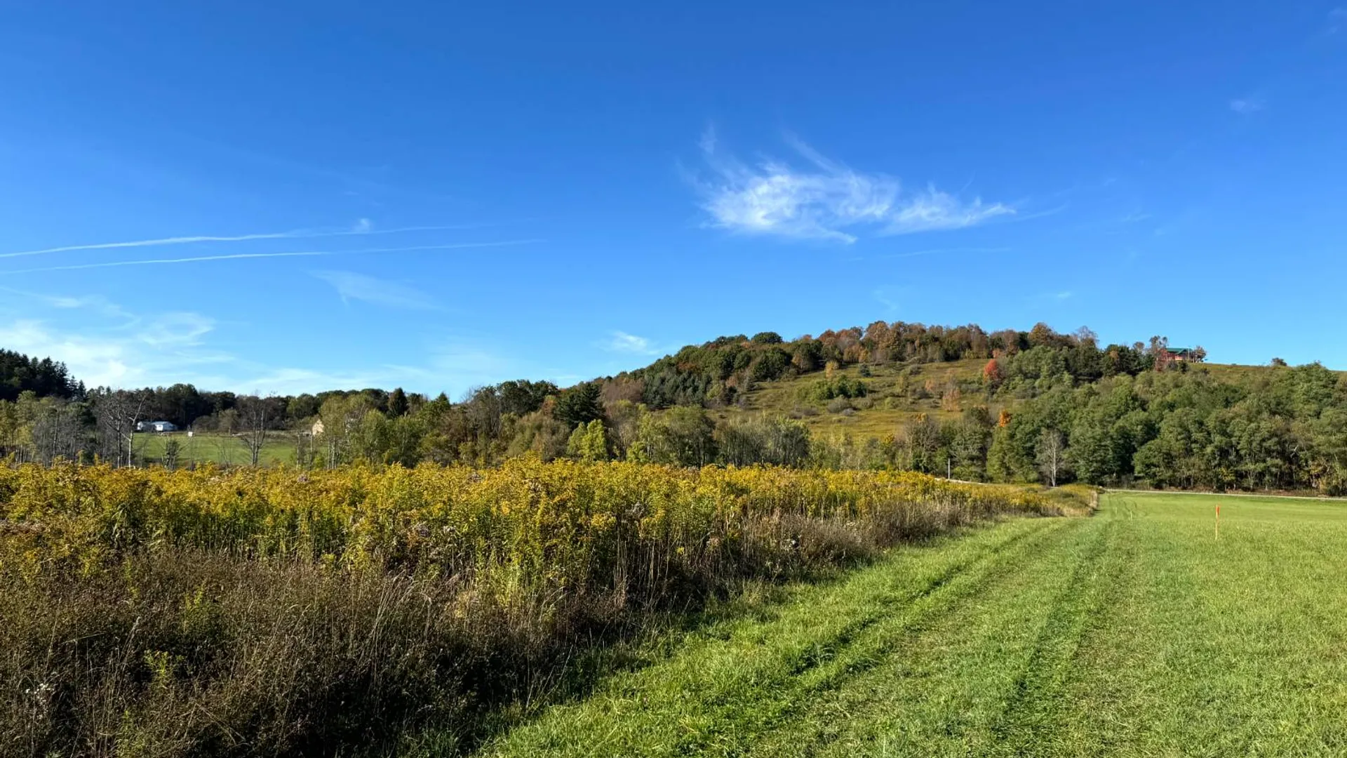 Property at 1.2 County Road 29, New Berlin, NY 13411 3