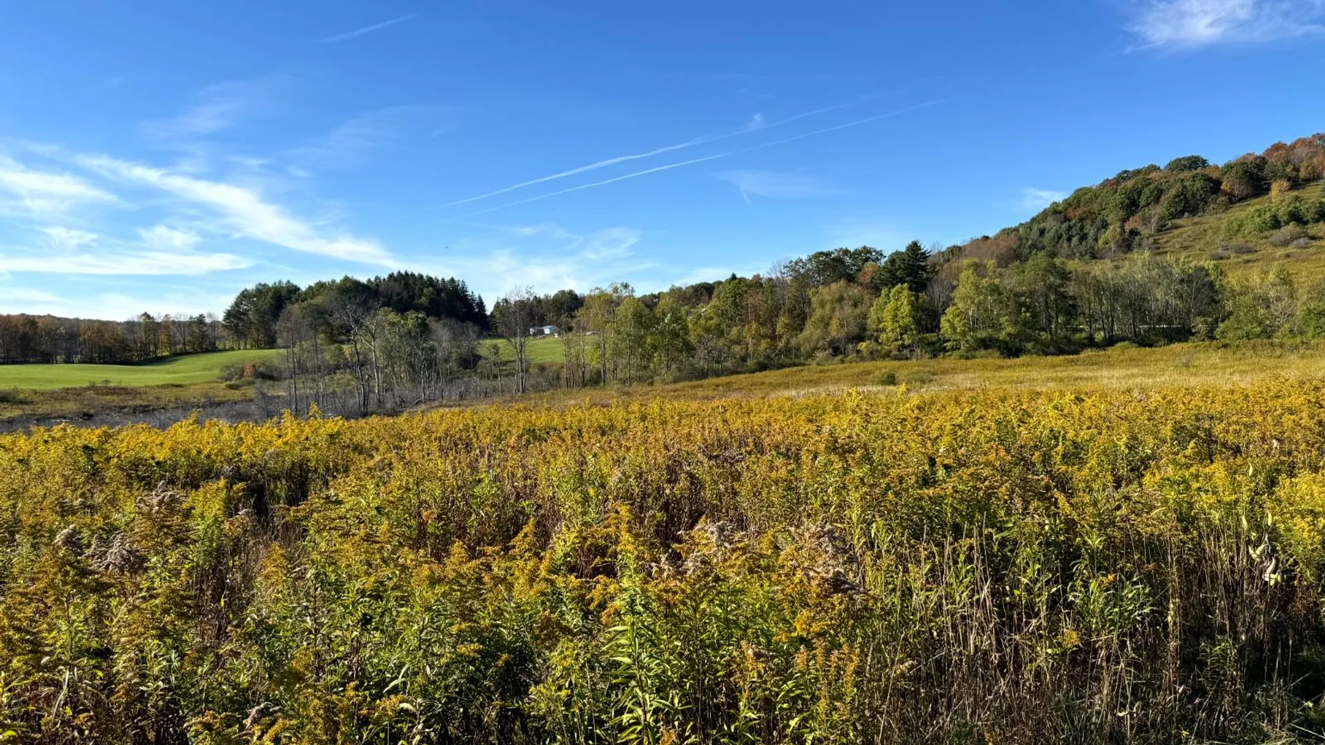 Property at 1.2 County Road 29, New Berlin, NY 13411 4