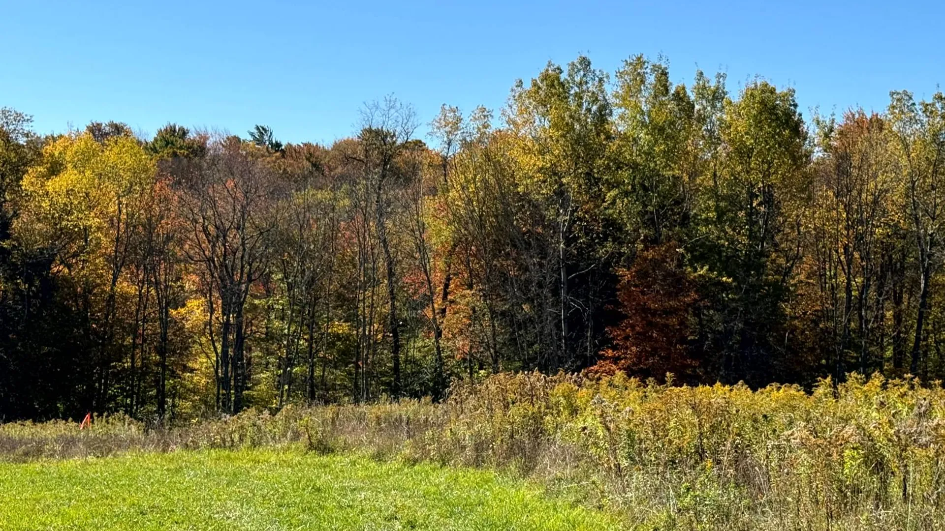 Property at 1.2 County Road 29, New Berlin, NY 13411 5