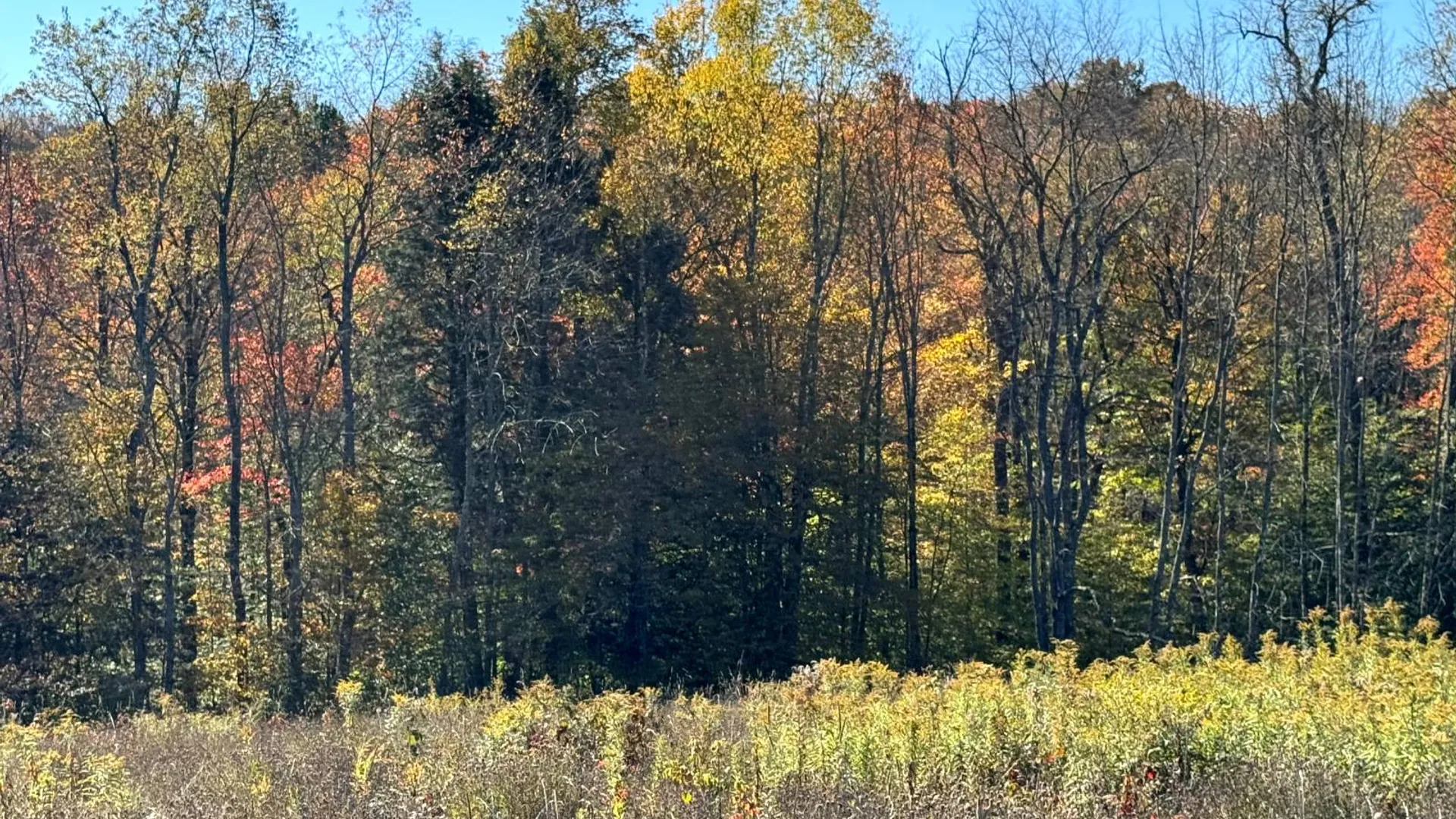 Property at 1.2 County Road 29, New Berlin, NY 13411 6