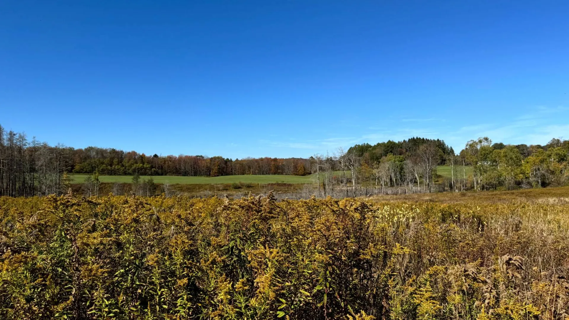 Property at 1.2 County Road 29, New Berlin, NY 13411 8