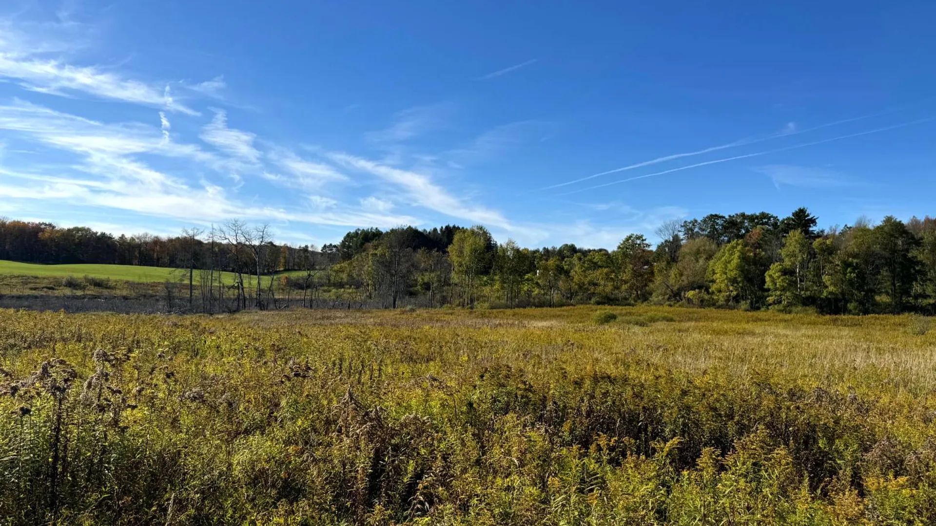 Property at 1.2 County Road 29, New Berlin, NY 13411 9