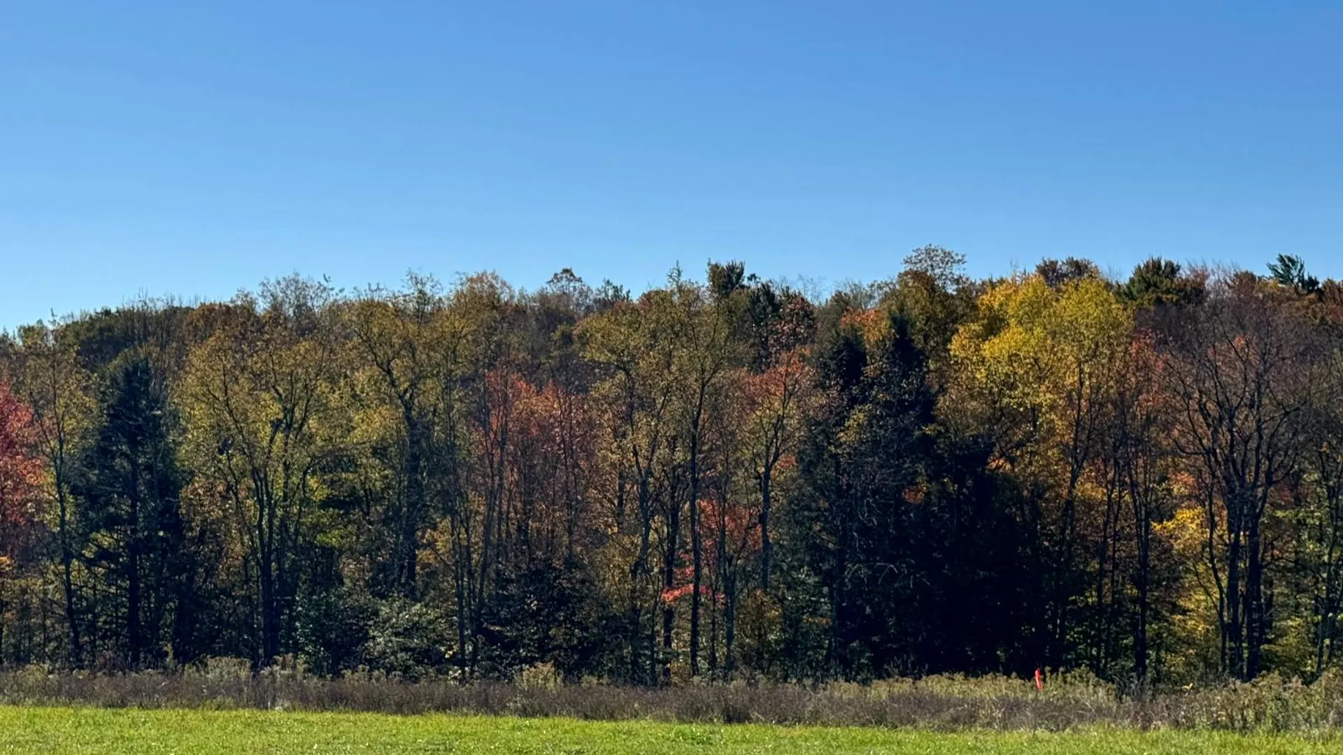 Property at 1.3 County Road 29, New Berlin, NY 13411 16