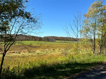 Property at 1.3 County Road 29, New Berlin, NY 13411