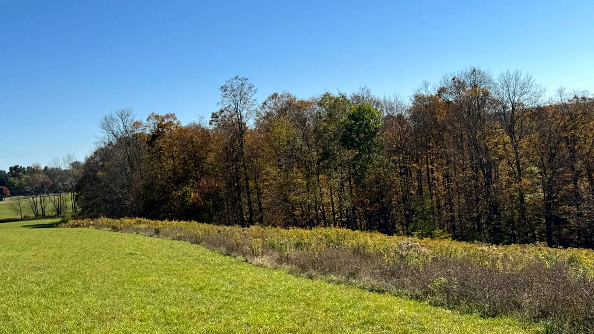 Property at 1.3 County Road 29, New Berlin, NY 13411 2