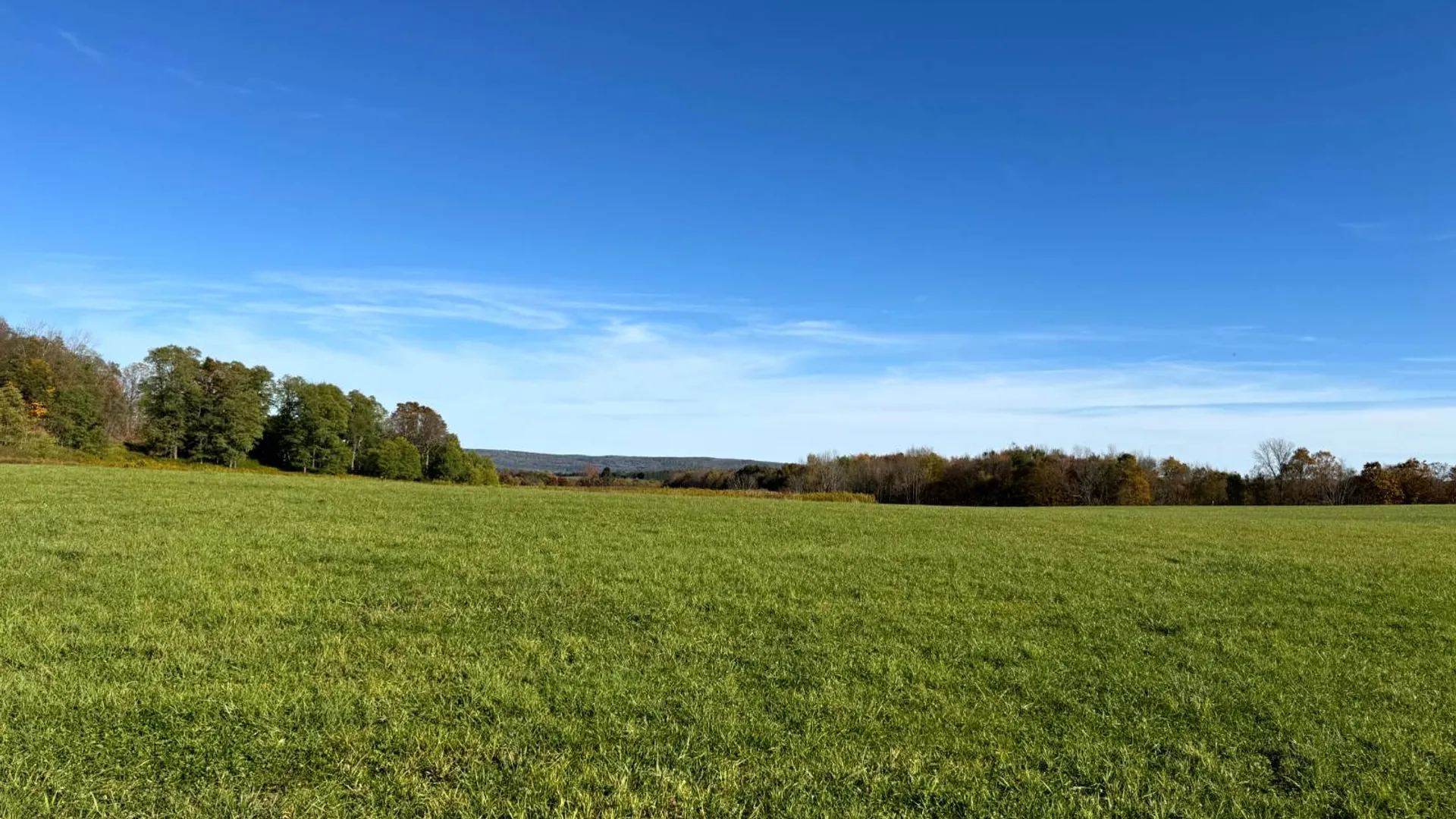 Property at 1.3 County Road 29, New Berlin, NY 13411 3