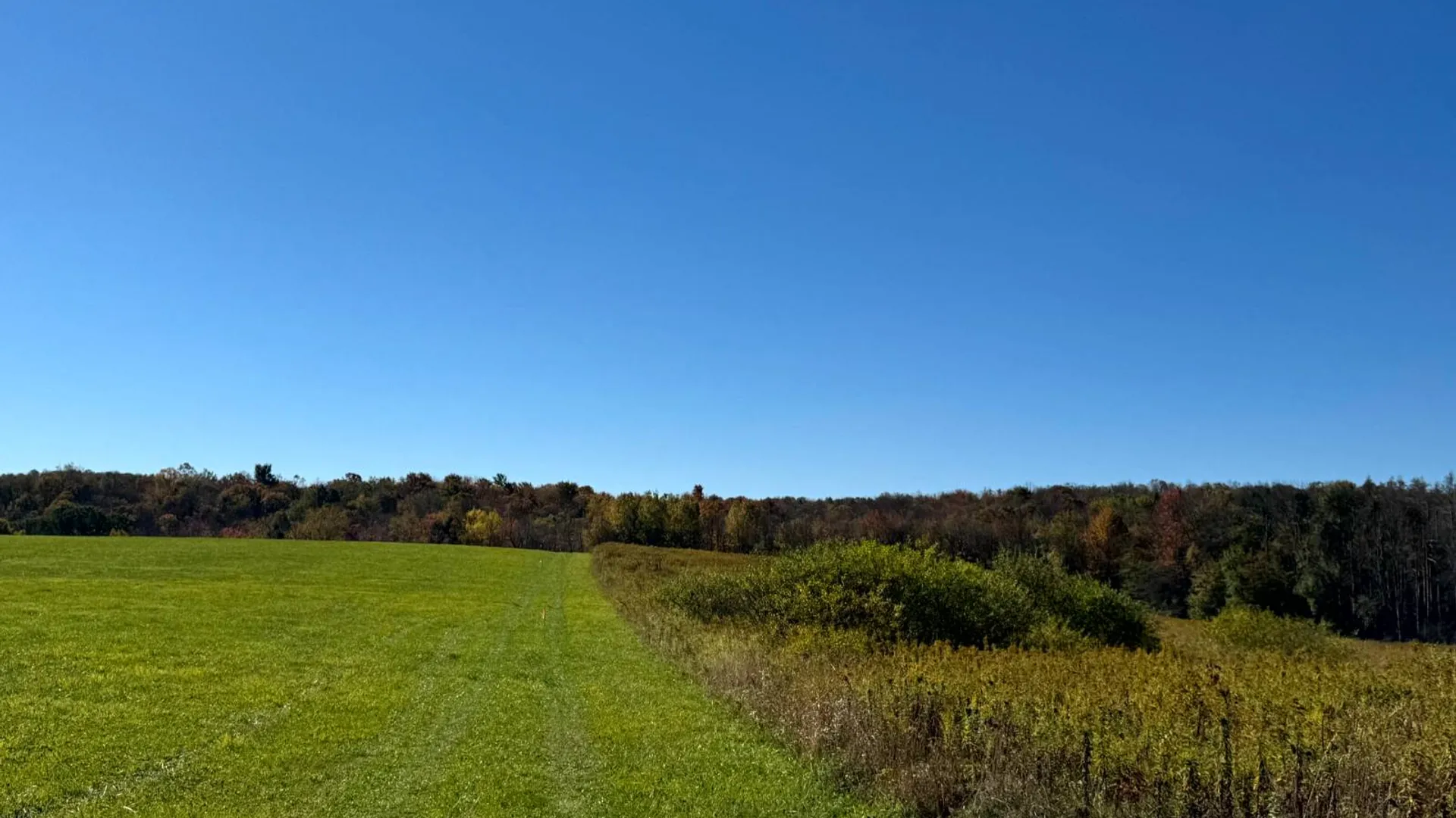Property at 1.3 County Road 29, New Berlin, NY 13411 6
