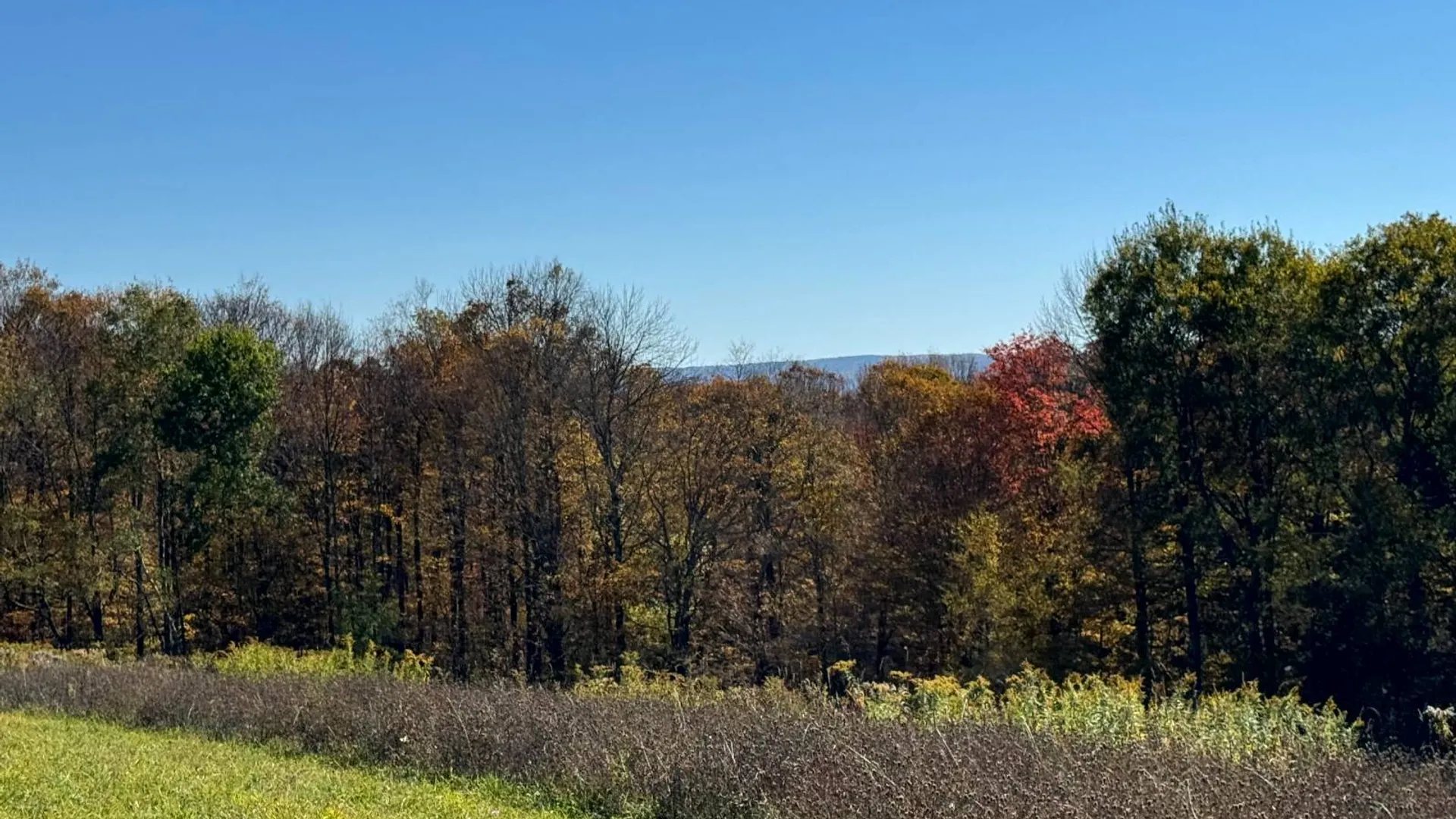 Property at 1.3 County Road 29, New Berlin, NY 13411 7