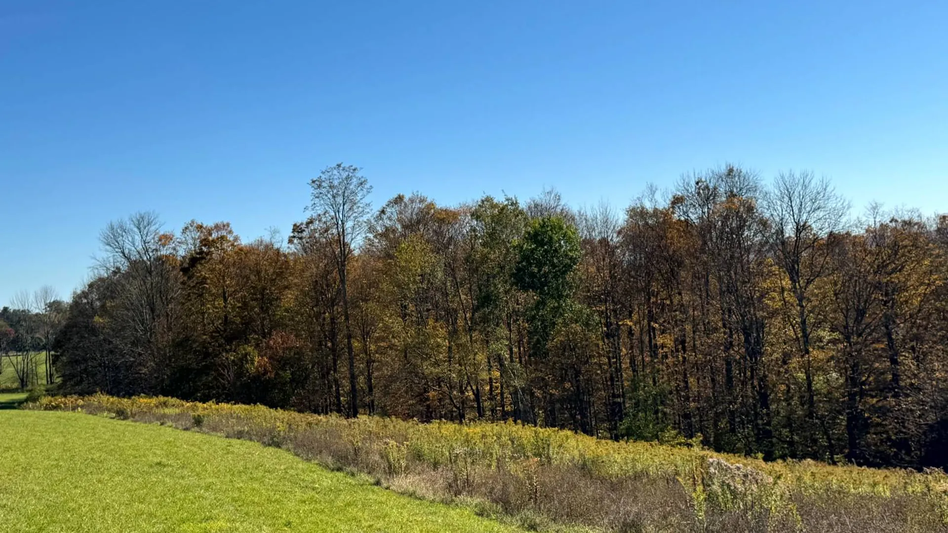 Property at 1.3 County Road 29, New Berlin, NY 13411 9
