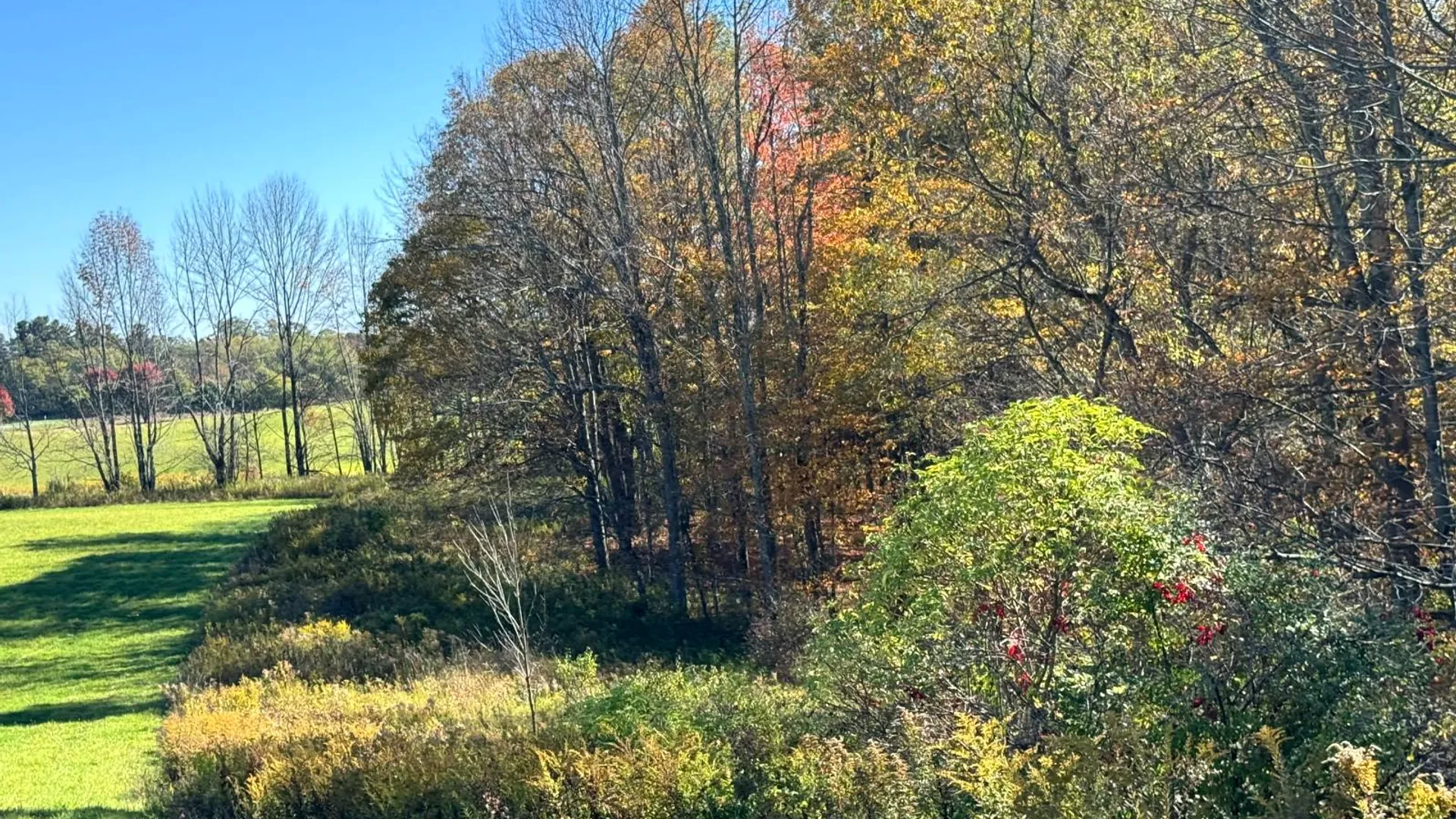 Property at 1.4 County Road 29, New Berlin, NY 13411 10