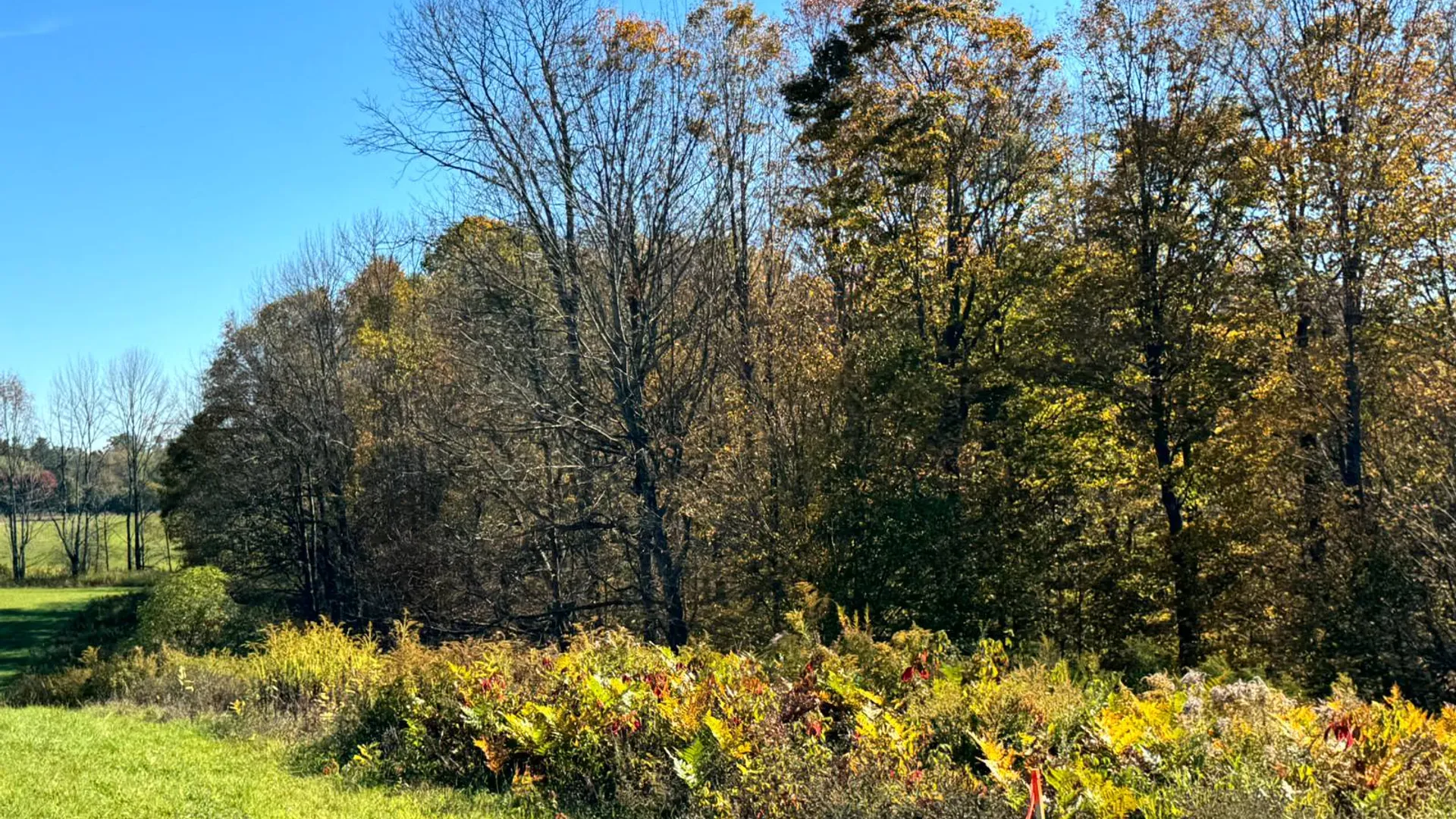 Property at 1.4 County Road 29, New Berlin, NY 13411 18