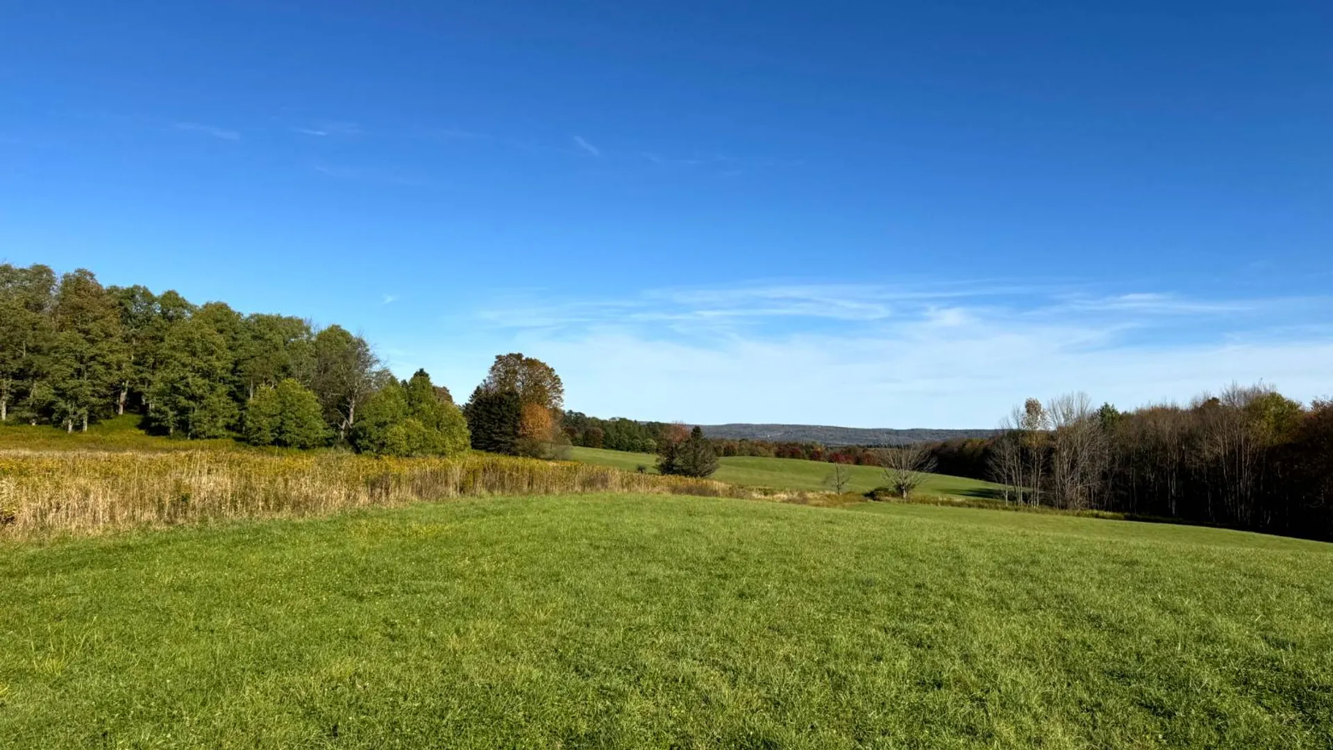 Property at 1.4 County Road 29, New Berlin, NY 13411 2