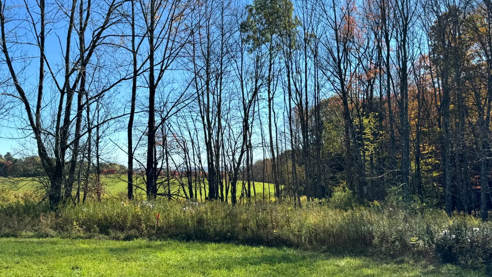 Property at 1.4 County Road 29, New Berlin, NY 13411 24