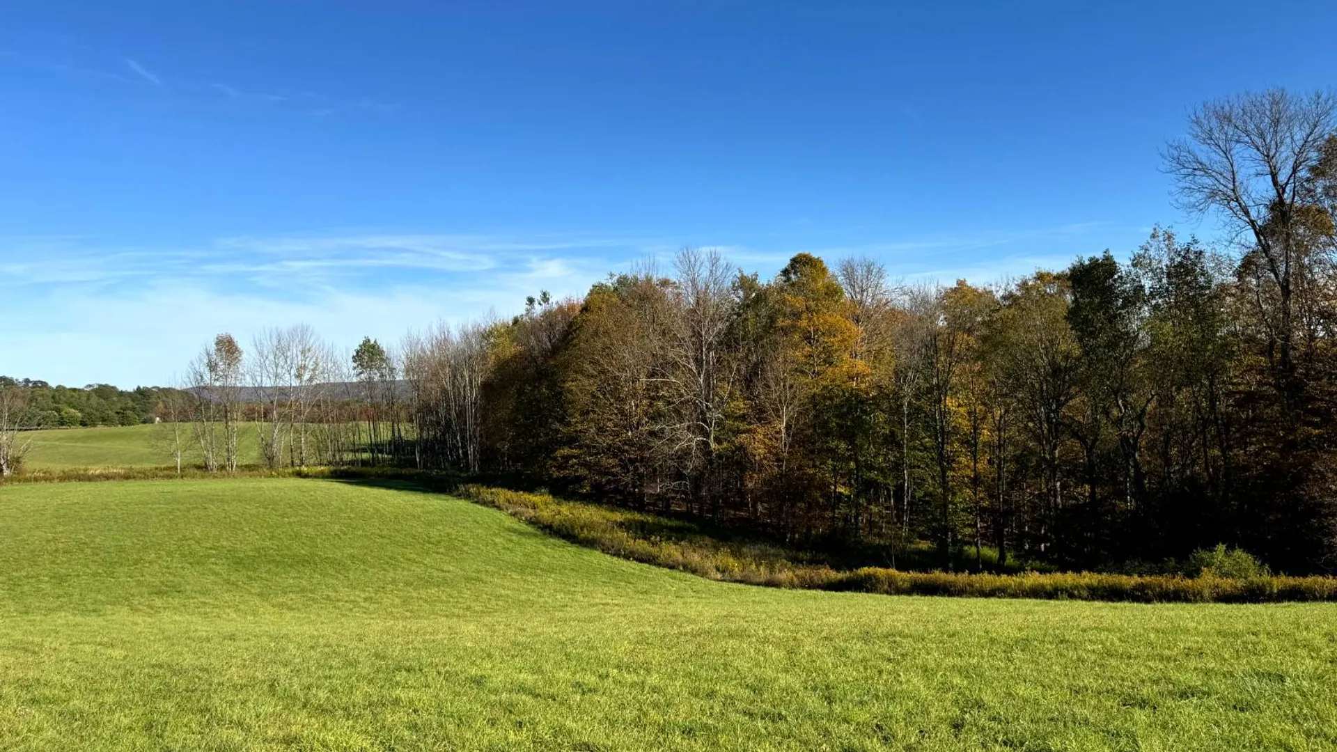 Property at 1.4 County Road 29, New Berlin, NY 13411 3