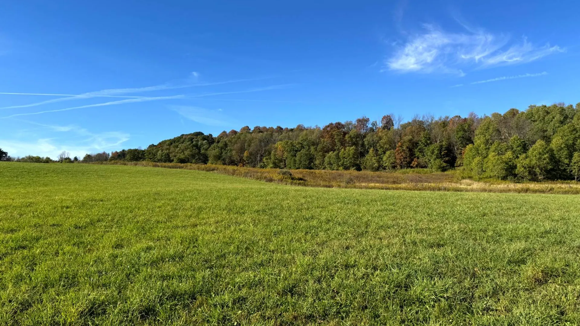 Property at 1.4 County Road 29, New Berlin, NY 13411 5