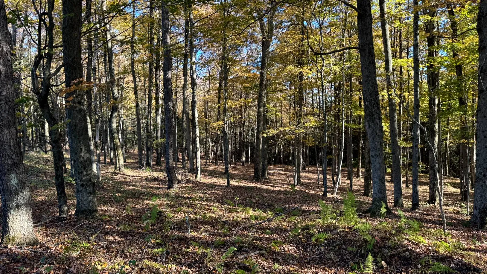 Property at 1.4 County Road 29, New Berlin, NY 13411 9