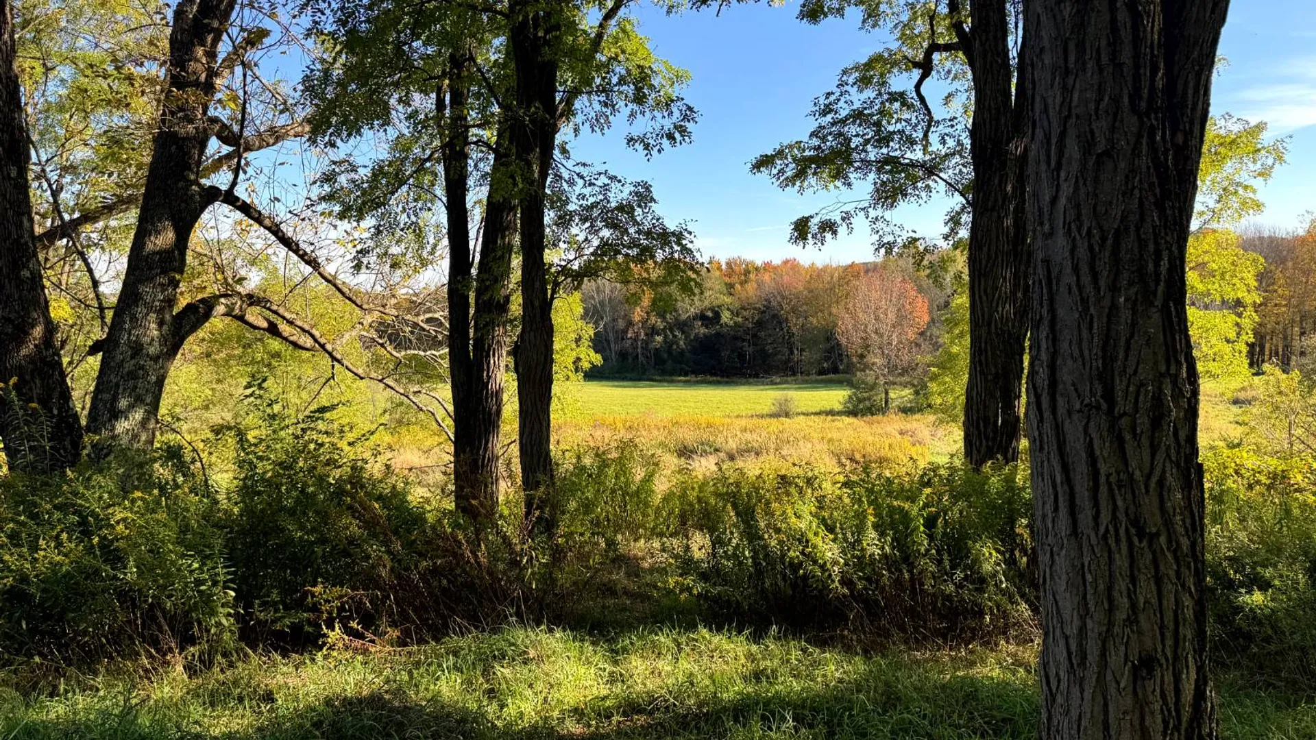Property at 1.5 County Road 29, New Berlin, NY 13411 10