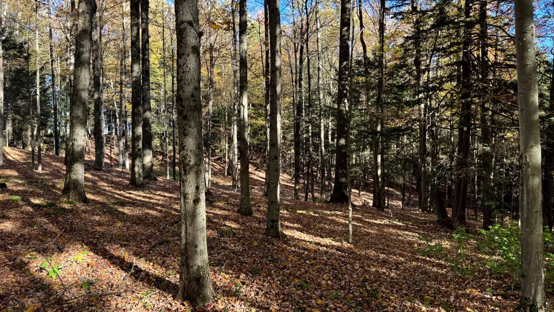 Property at 1.5 County Road 29, New Berlin, NY 13411 12