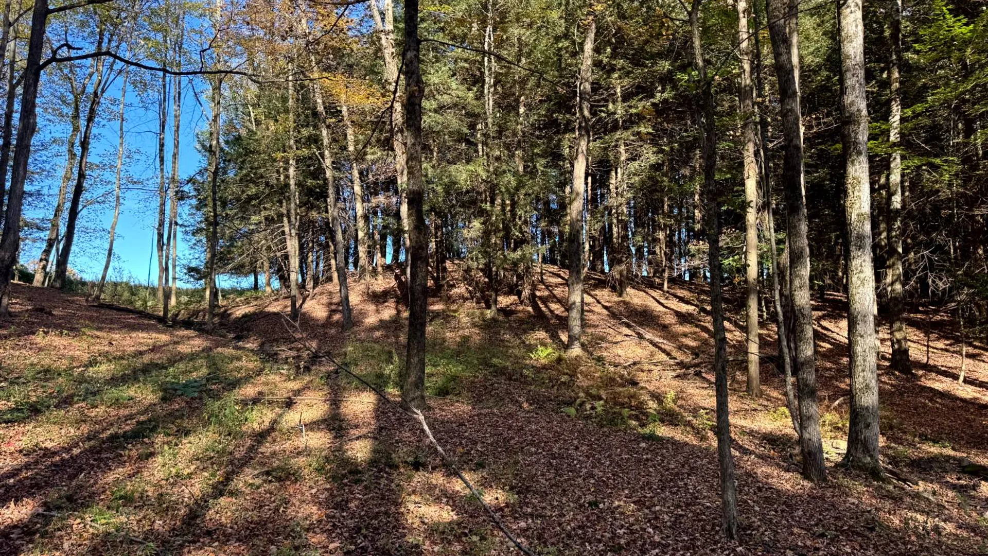 Property at 1.5 County Road 29, New Berlin, NY 13411 13