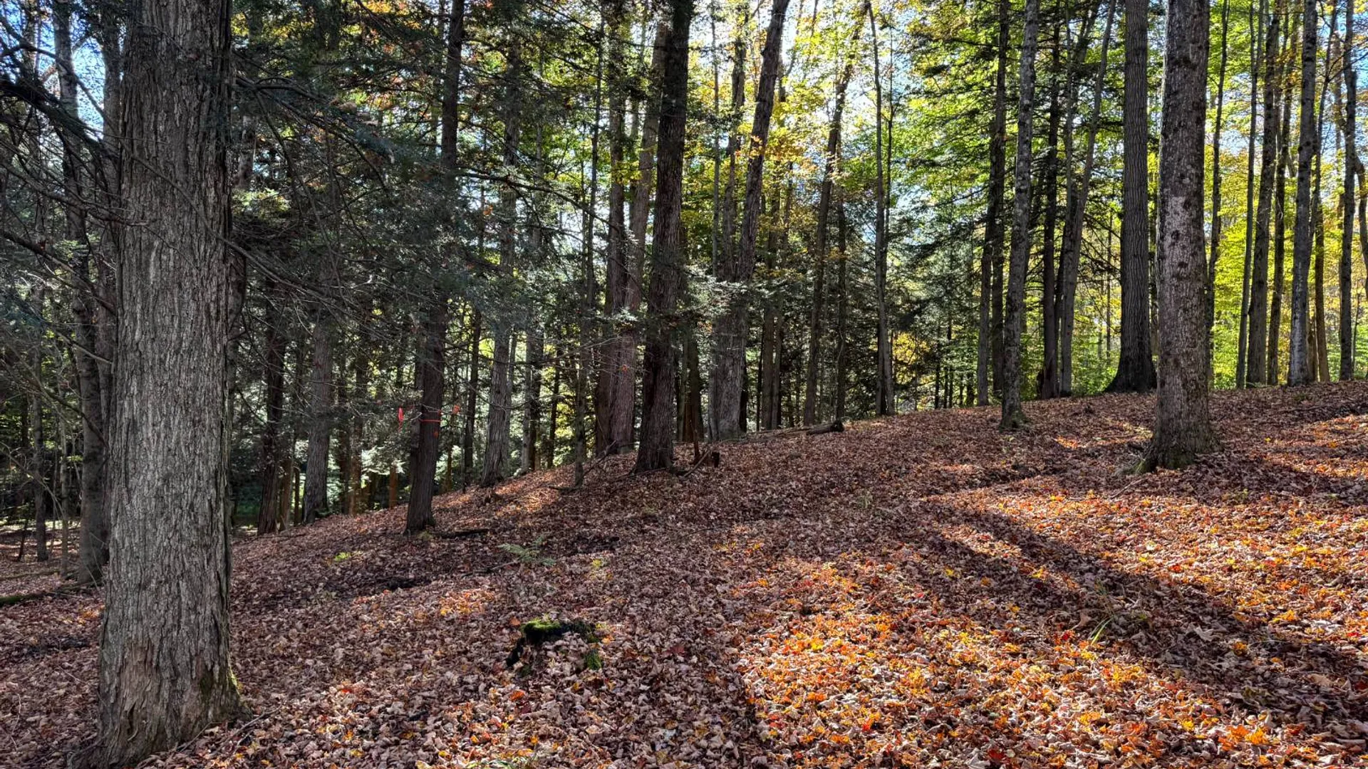 Property at 1.5 County Road 29, New Berlin, NY 13411 14