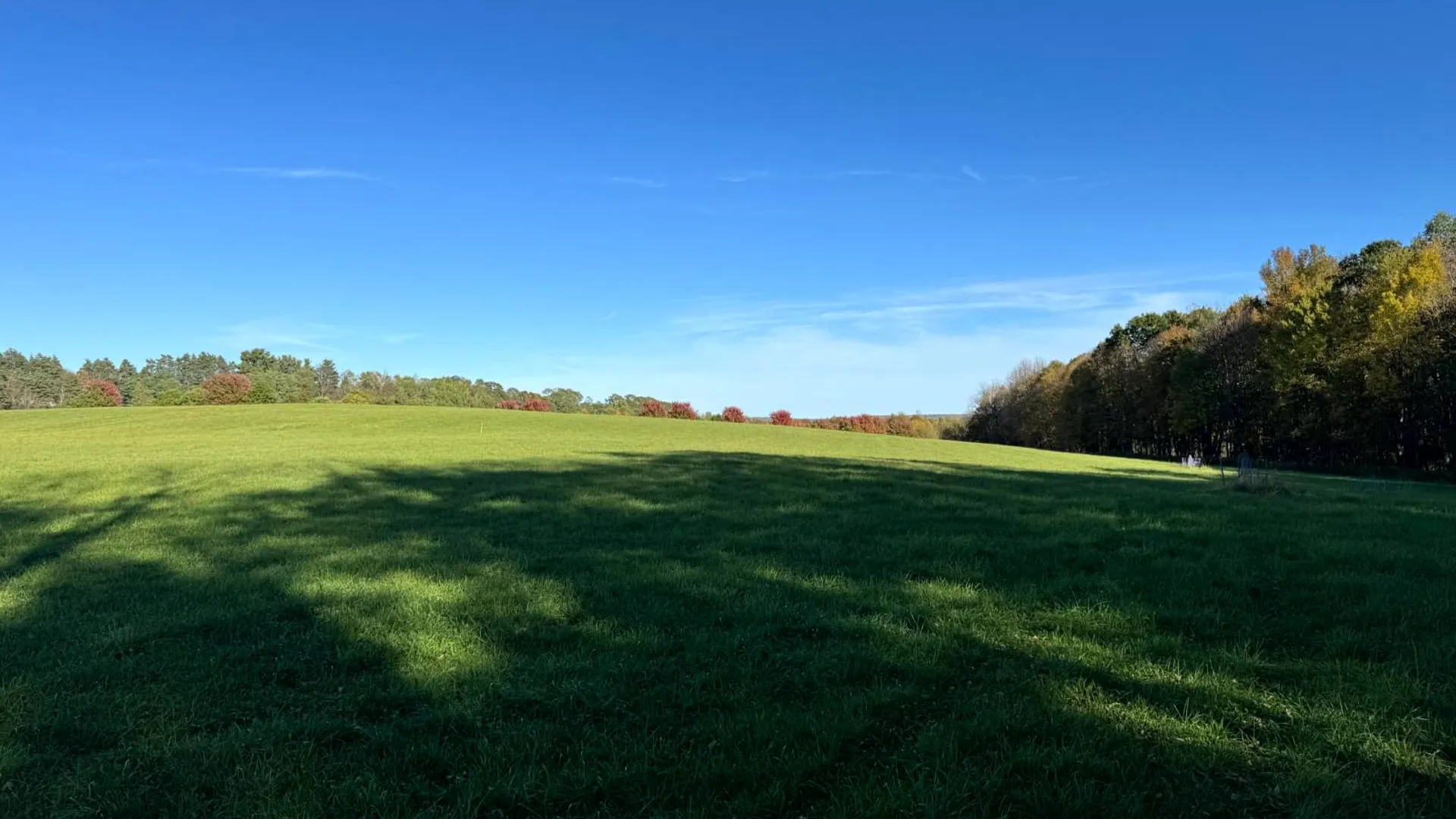 Property at 1.5 County Road 29, New Berlin, NY 13411 15