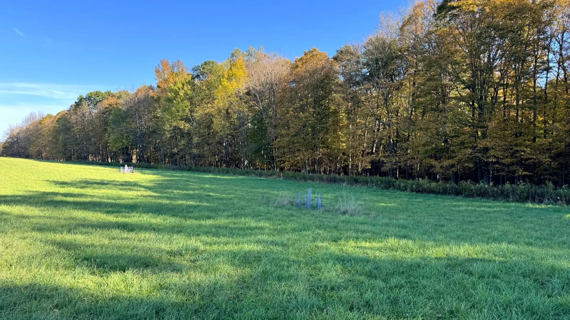Property at 1.5 County Road 29, New Berlin, NY 13411 17