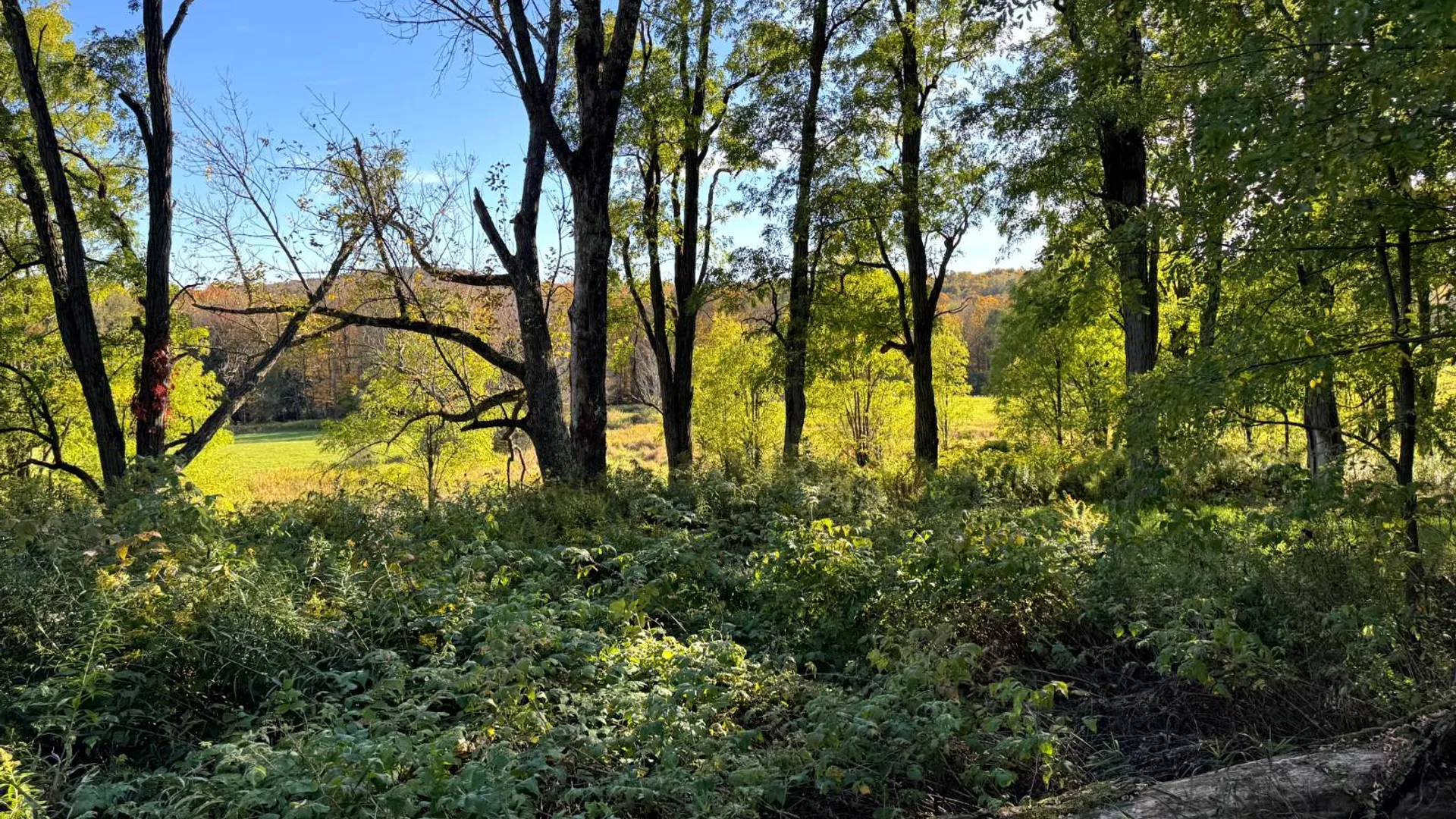 Property at 1.5 County Road 29, New Berlin, NY 13411 18