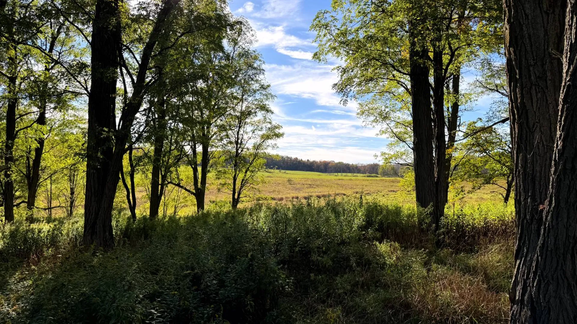 Property at 1.5 County Road 29, New Berlin, NY 13411 19