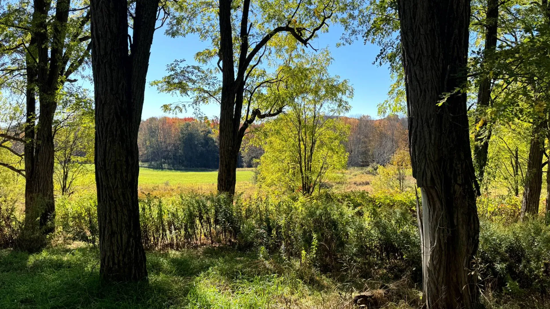 Property at 1.5 County Road 29, New Berlin, NY 13411 2