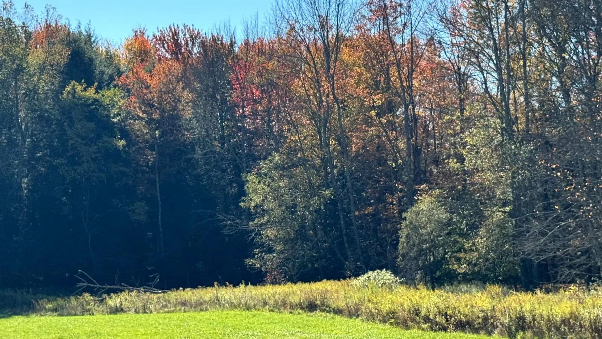 Property at 1.5 County Road 29, New Berlin, NY 13411 22