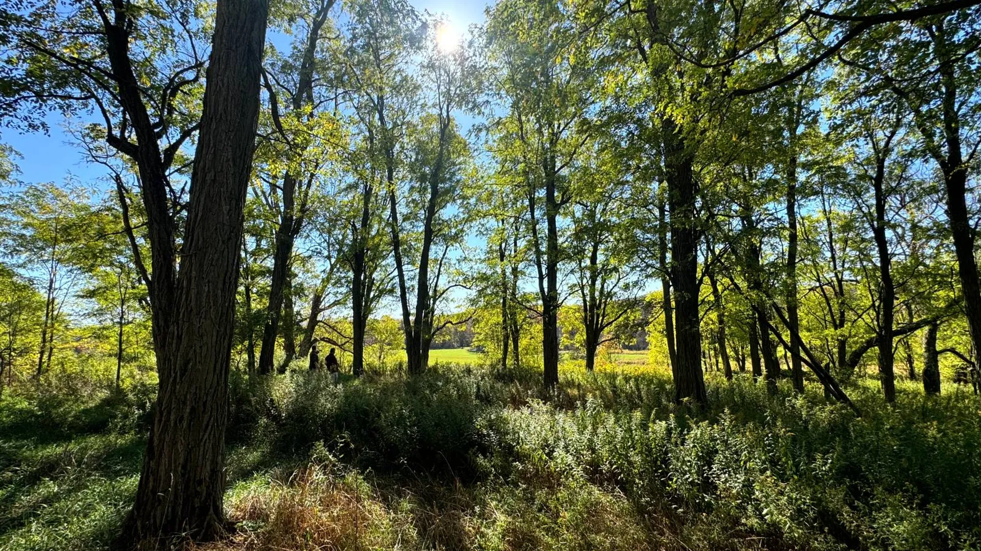 Property at 1.5 County Road 29, New Berlin, NY 13411 26