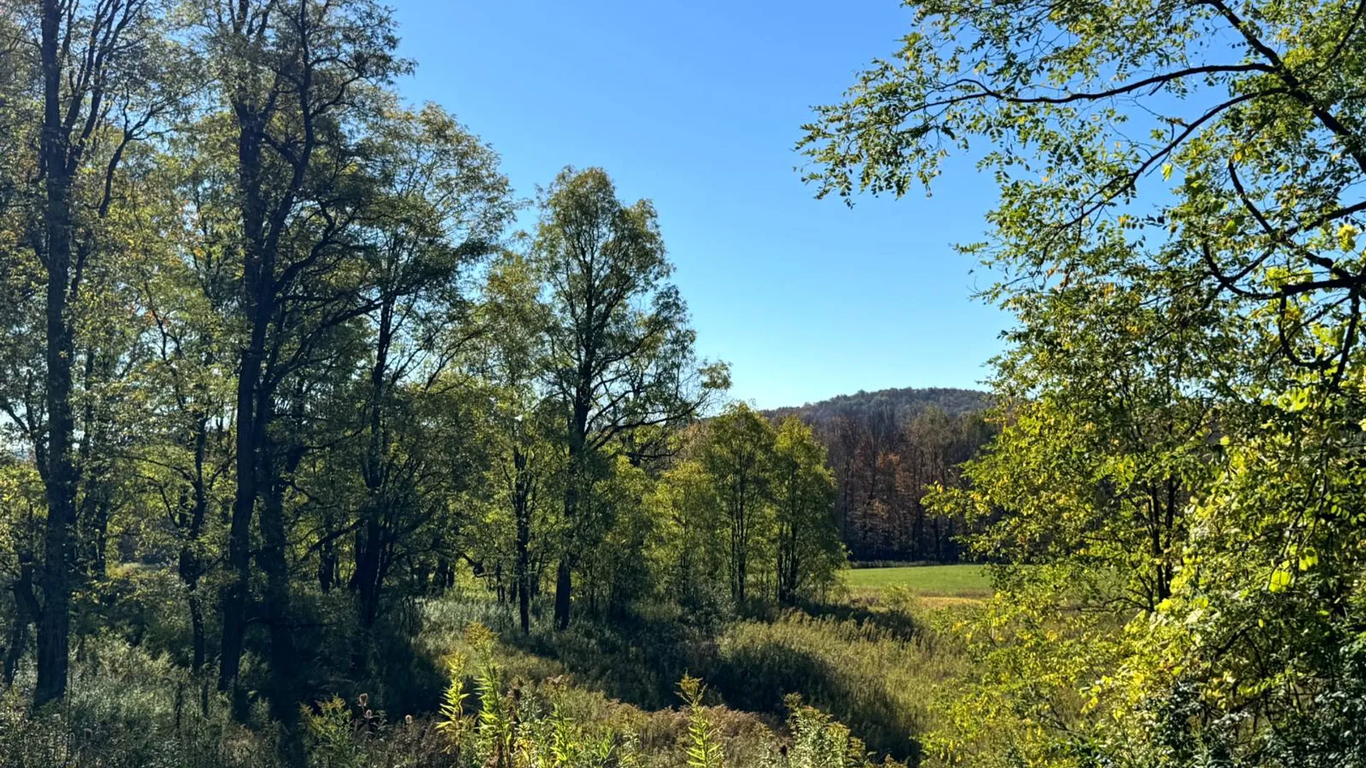 Property at 1.5 County Road 29, New Berlin, NY 13411 4
