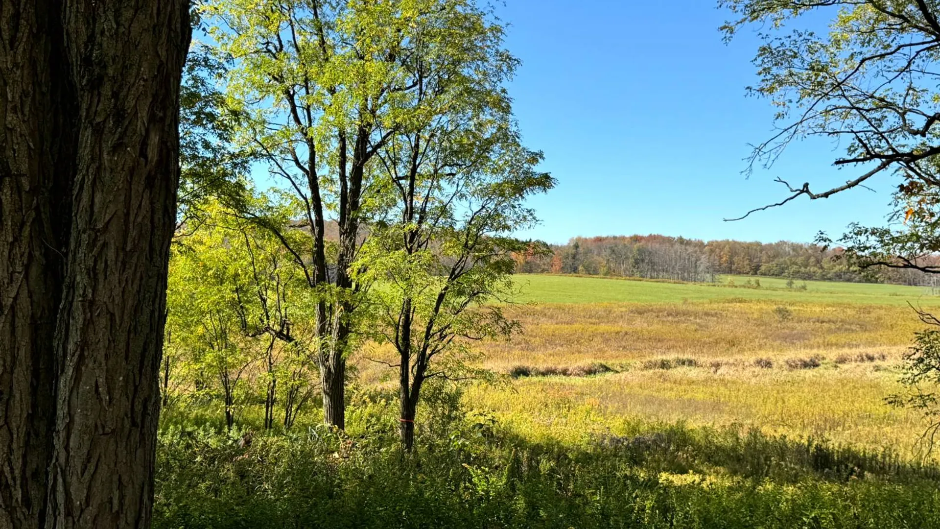 Property at 1.5 County Road 29, New Berlin, NY 13411 5