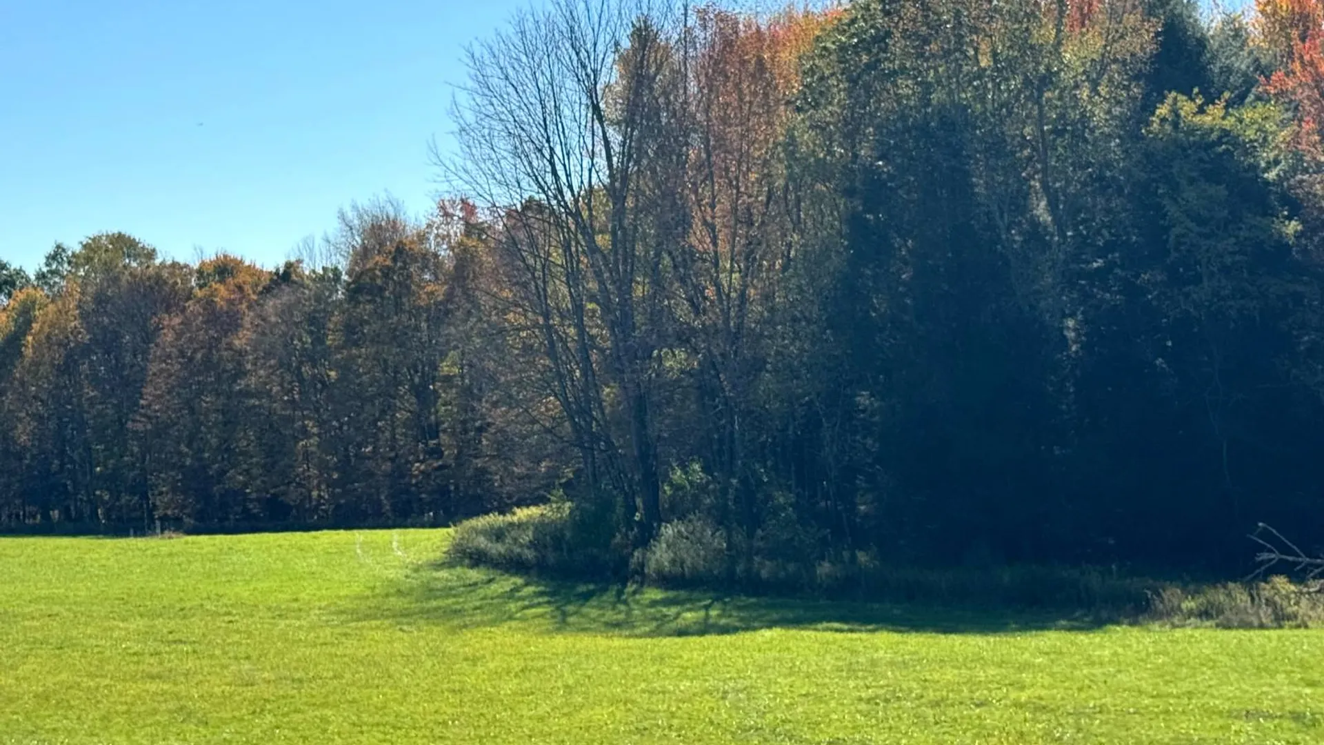 Property at 1.5 County Road 29, New Berlin, NY 13411 6