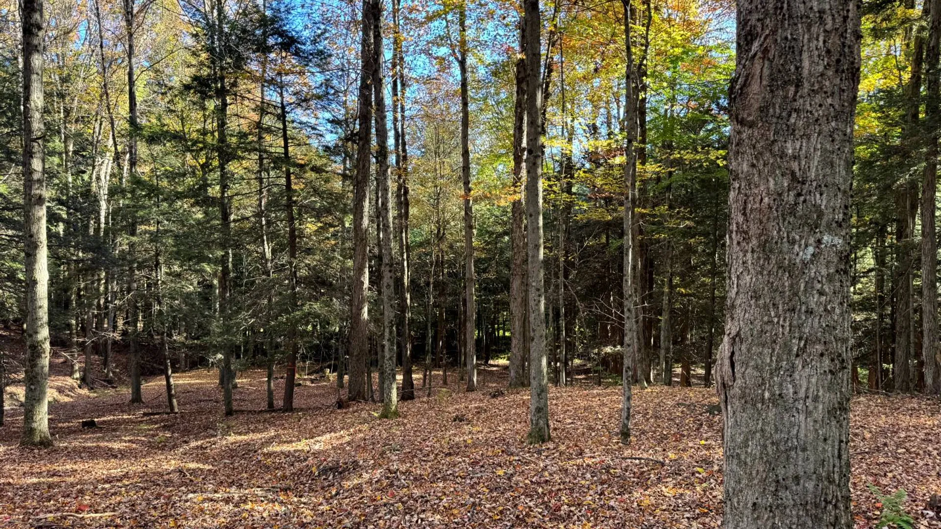 Property at 1.5 County Road 29, New Berlin, NY 13411 7