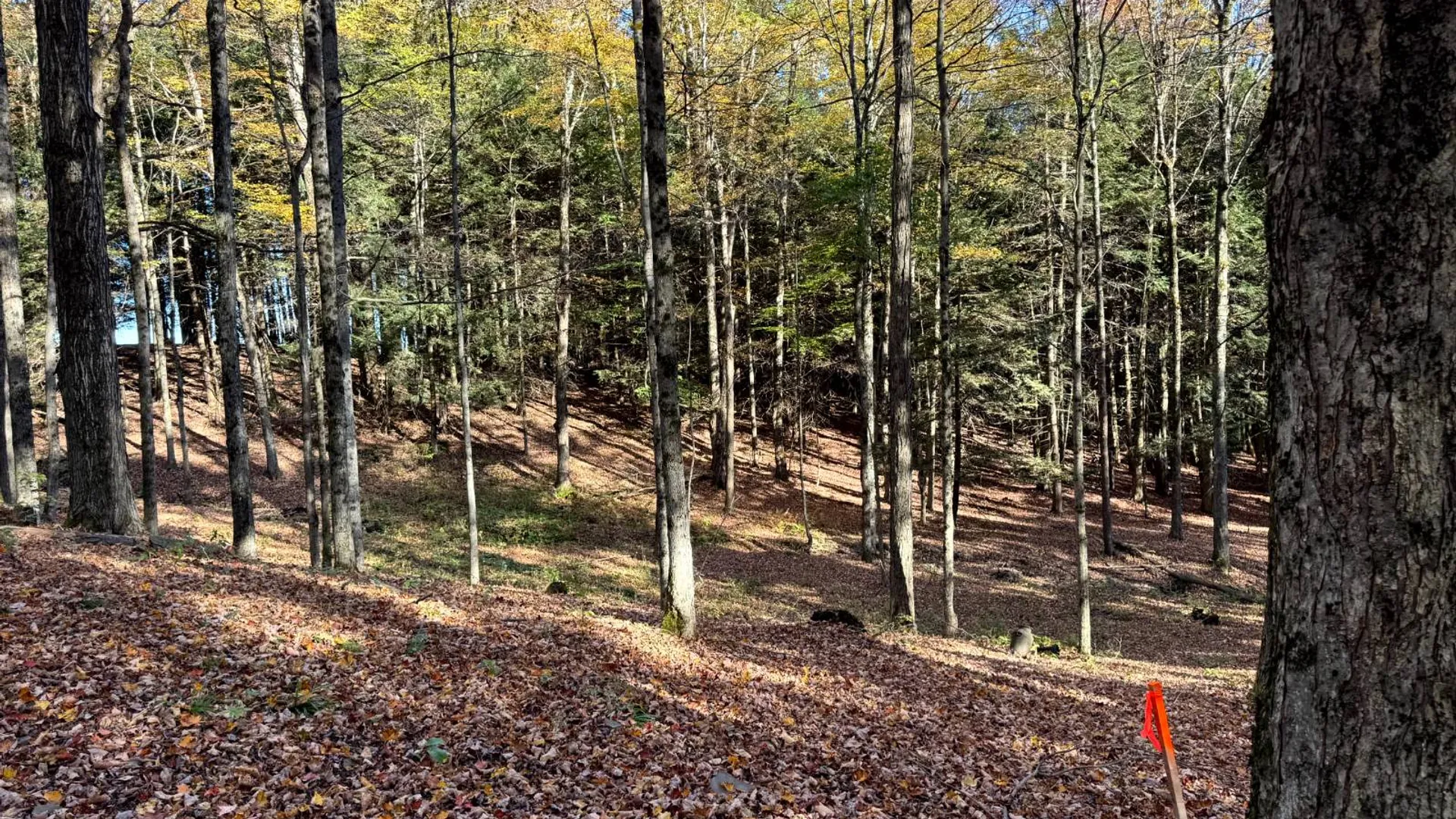 Property at 1.5 County Road 29, New Berlin, NY 13411 8