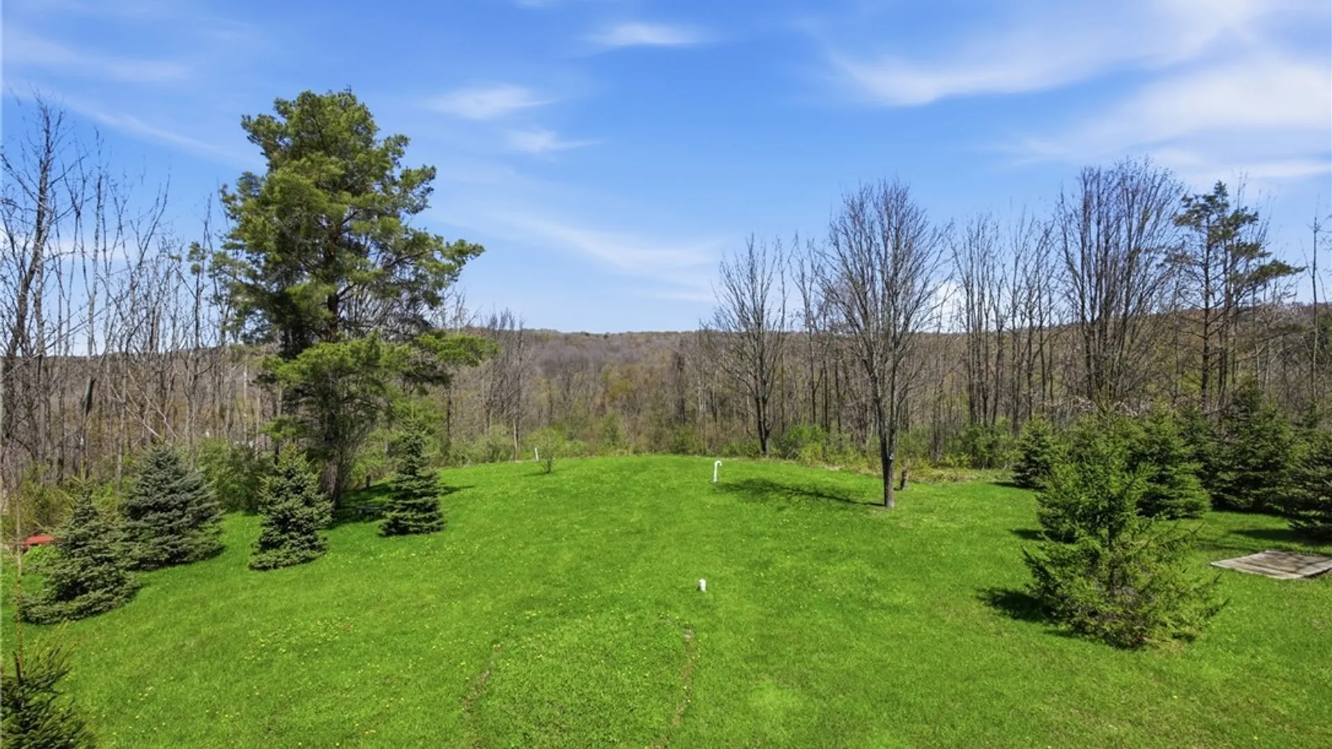 Property at 7061 Mill Valley Road, East Otto, NY 14729 33