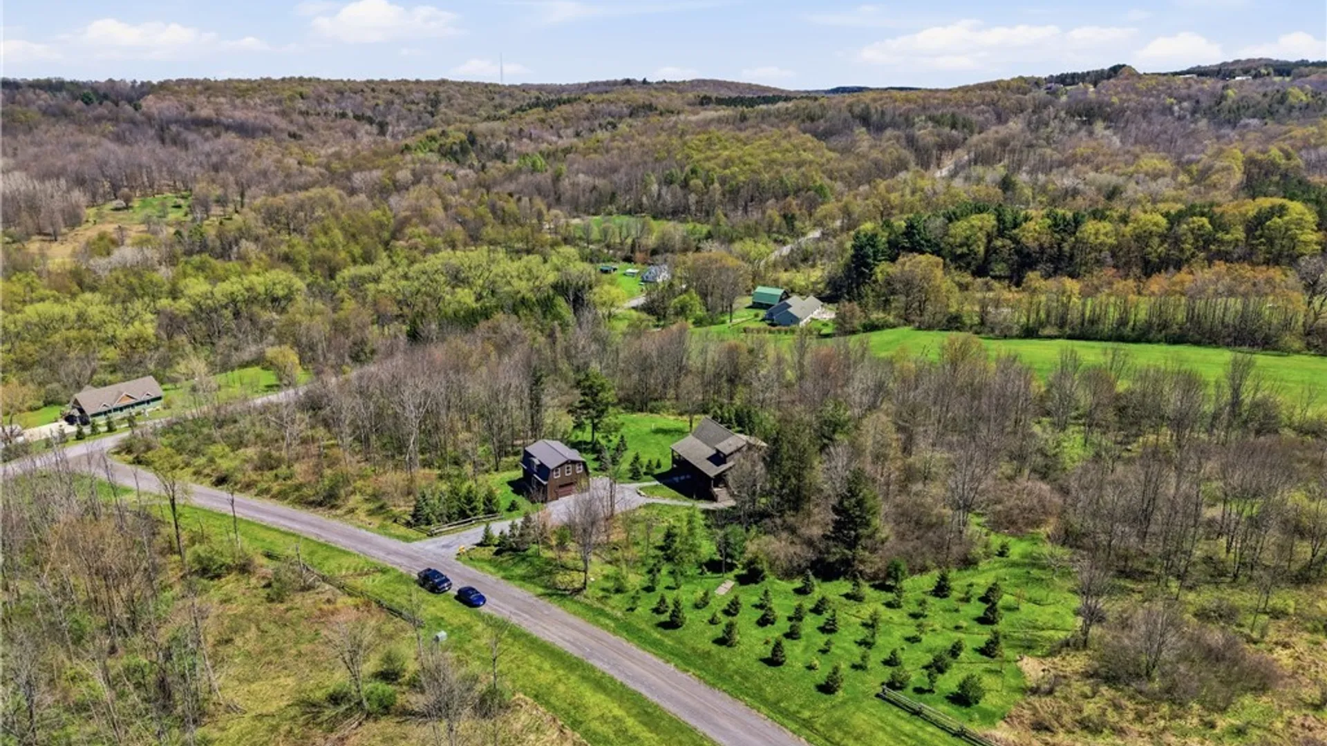 Property at 7061 Mill Valley Road, East Otto, NY 14729 44