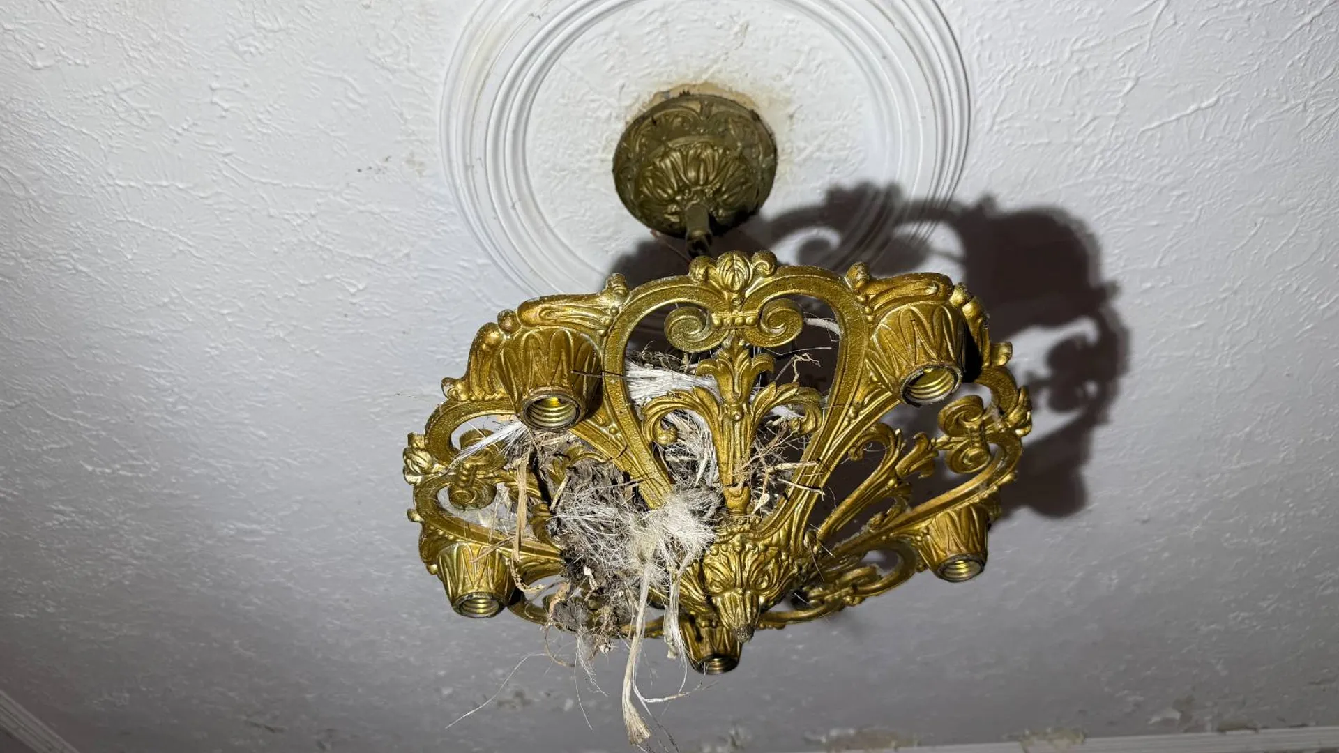 Property at 1227 Highland St, Syracuse, NY 13203 20