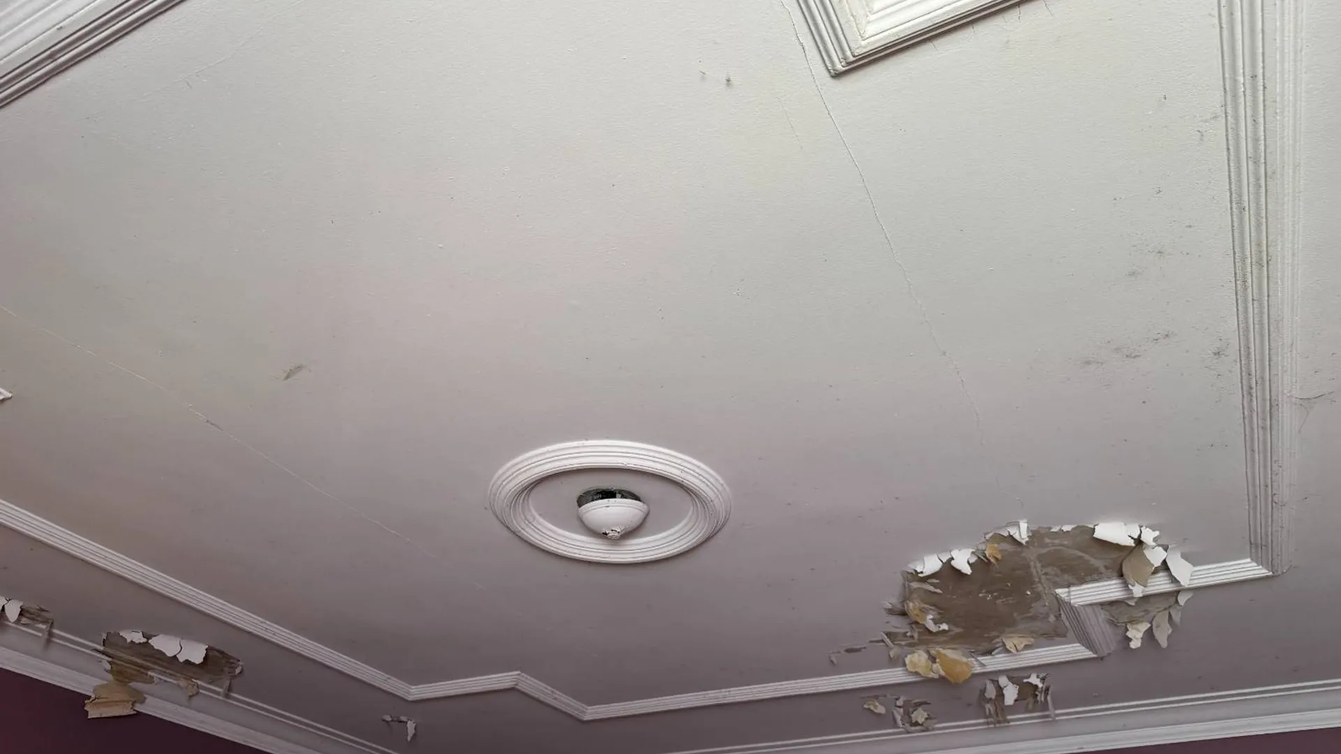 Property at 1227 Highland St, Syracuse, NY 13203 21