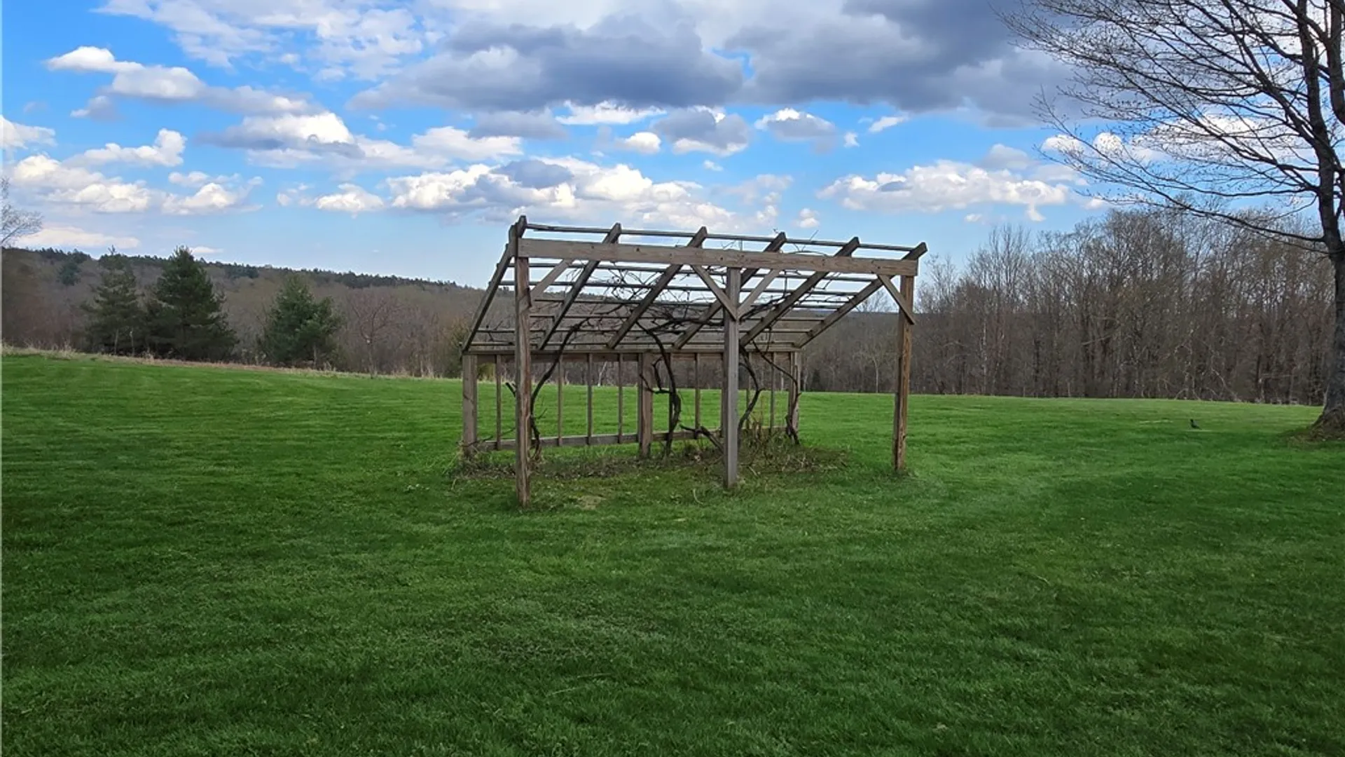 Property at 360 Maroney Road, German, NY 13801 10