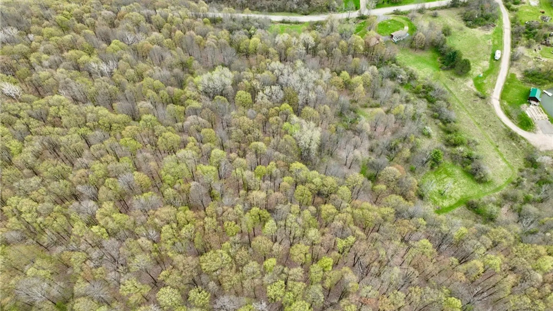 Property at 5857 Bloye Road, Humphrey, NY 14737 4