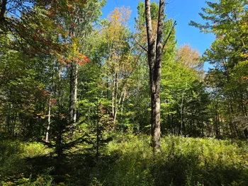 Property at Lot 9 McDonald Rd, Steuben, NY 13438
