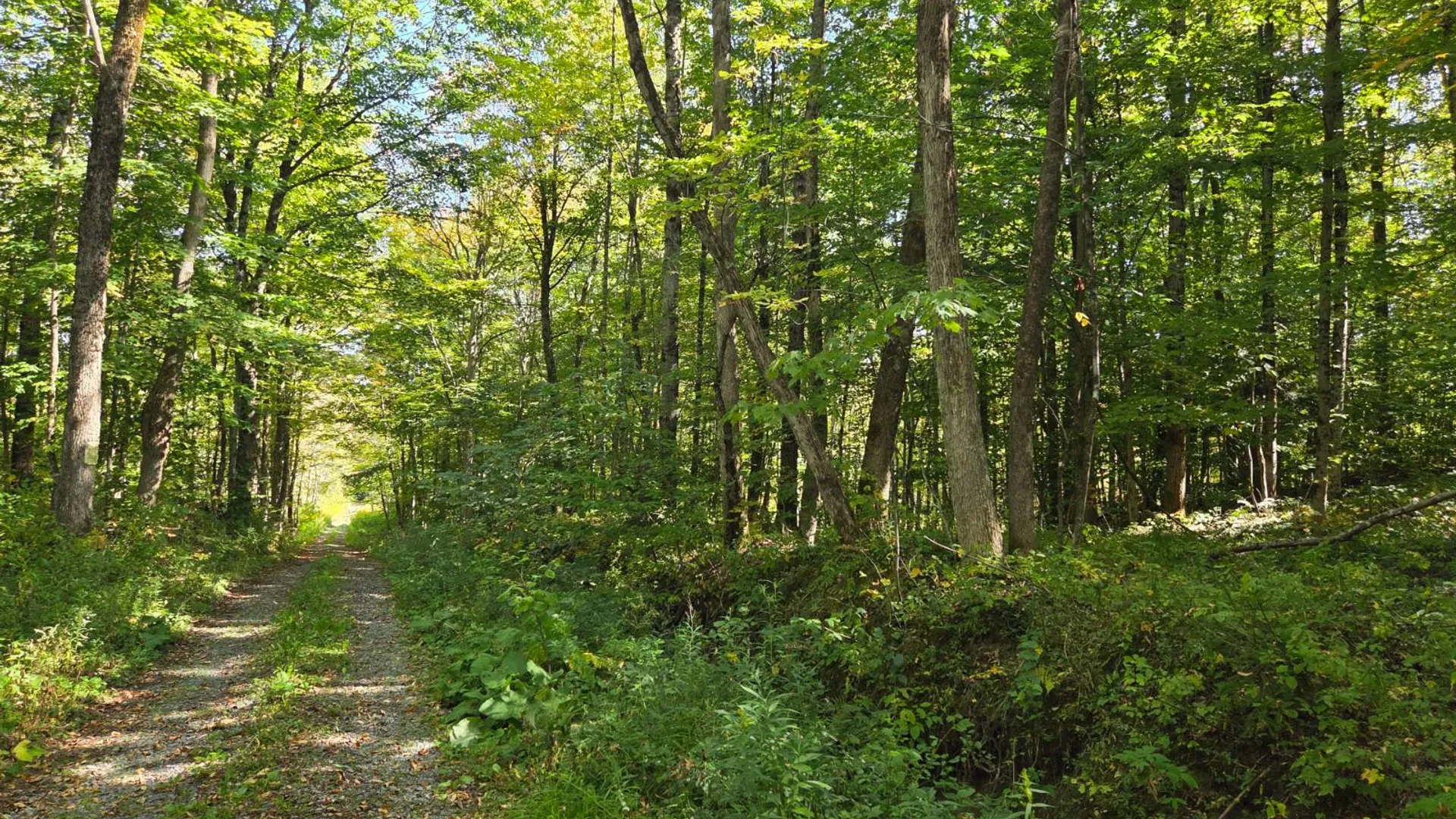 Property at Lot 9 McDonald Rd, Steuben, NY 13438 2