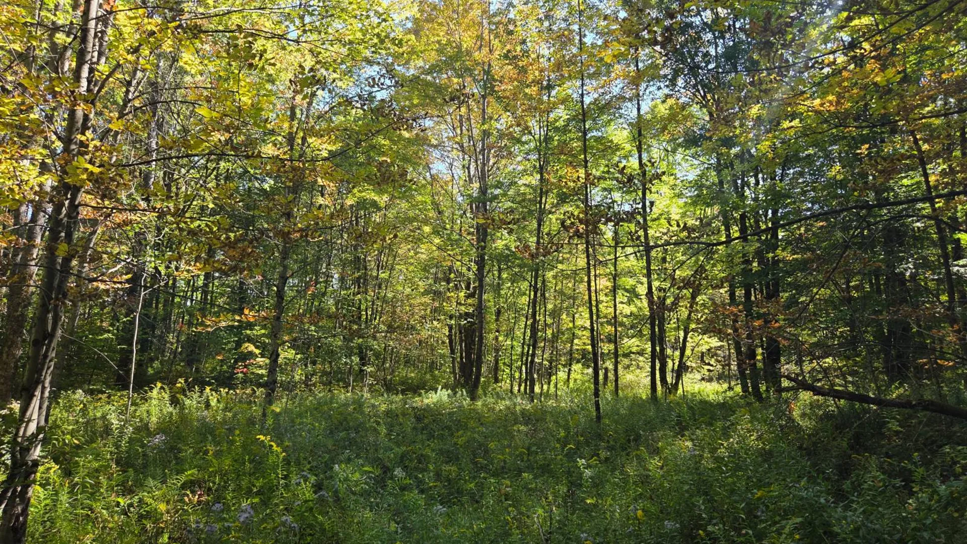 Property at Lot 9 McDonald Rd, Steuben, NY 13438 4