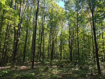 Property at Lot 10 McDonald Rd, Steuben, NY 13438