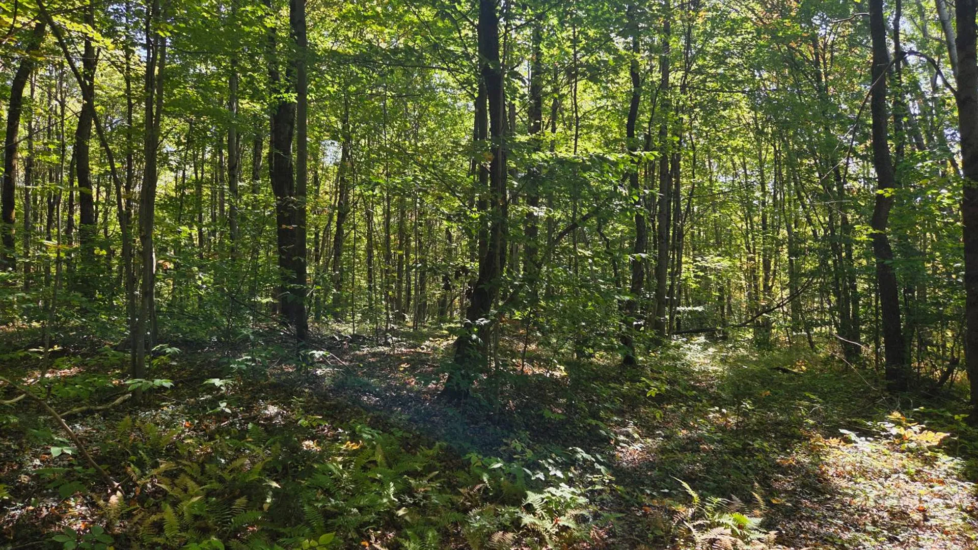 Property at Lot 10 McDonald Rd, Steuben, NY 13438 3