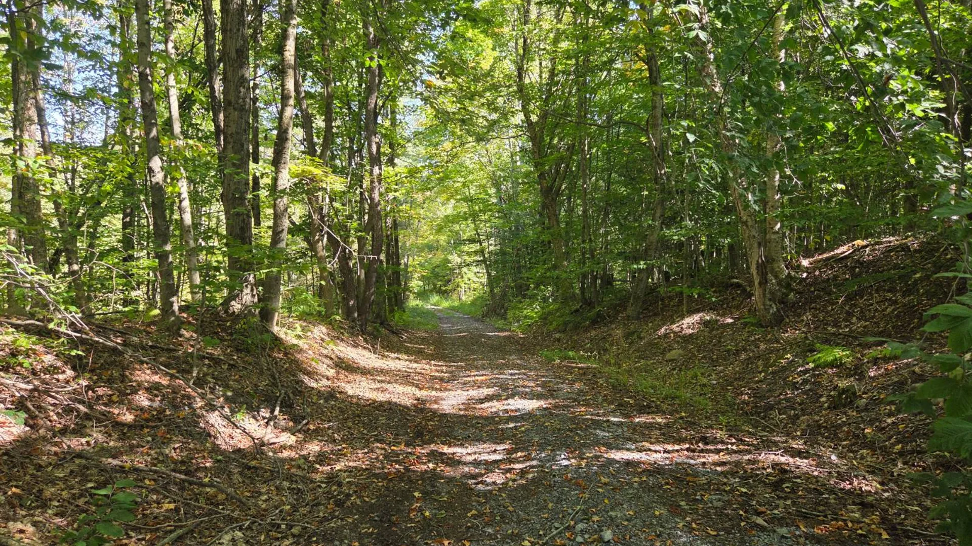 Property at Lot 10 McDonald Rd, Steuben, NY 13438 8