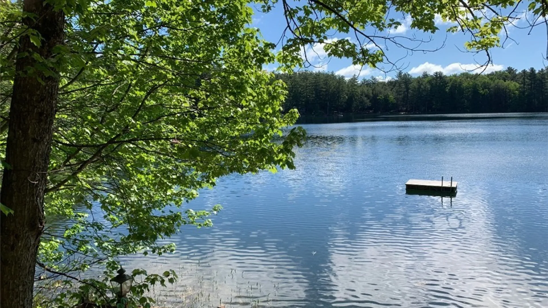Property at 7919 Brantingham Road, Greig, NY 13345 4